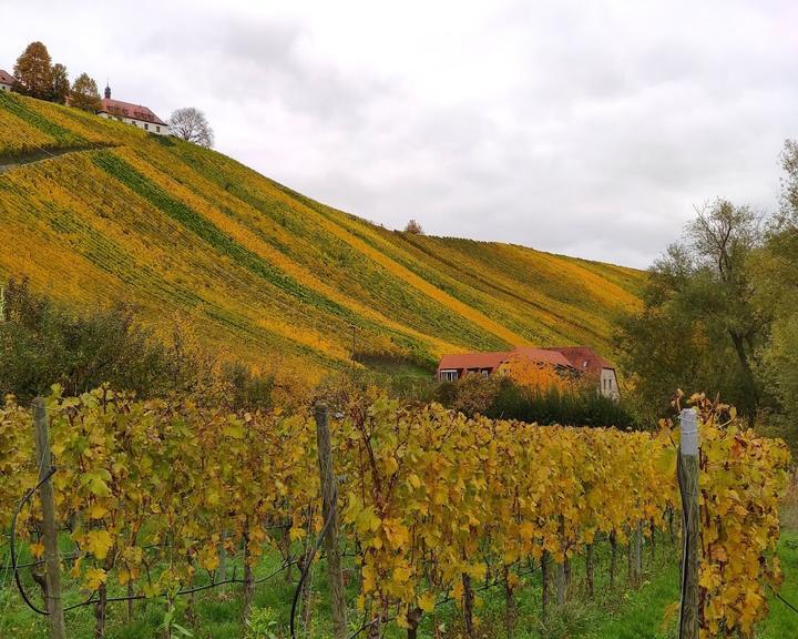 Zur Mainaussicht